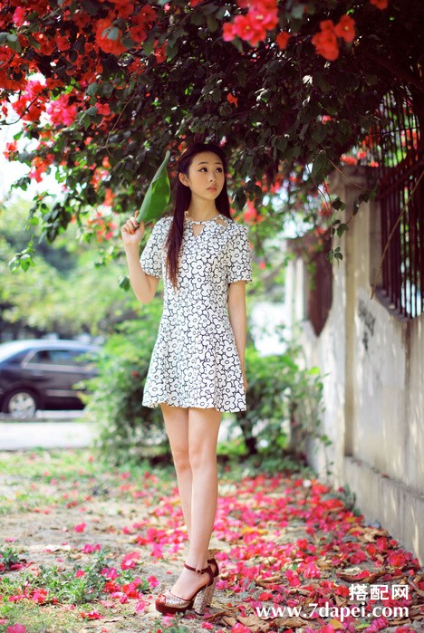 千鸟格单品+极致复古 优雅名媛范