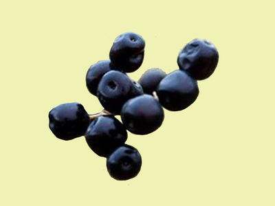 黑枸杞的功效与作用,黑枸杞的食用方法