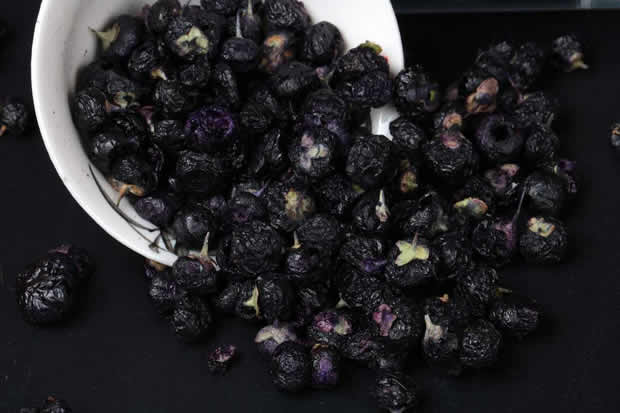 黑枸杞功效和禁忌症 黑枸杞的禁忌