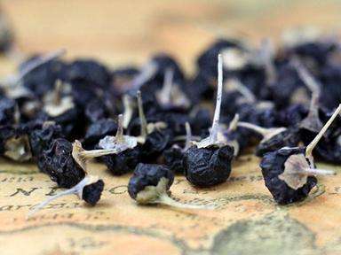 黑枸杞的功效与作用到底是真的吗?