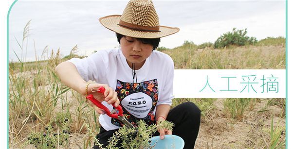 黑枸杞与红枸杞5大的区别