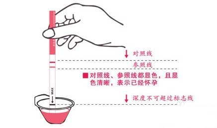 怀孕多久能用试纸测出来?