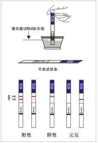 怀孕多久能用试纸测出来?