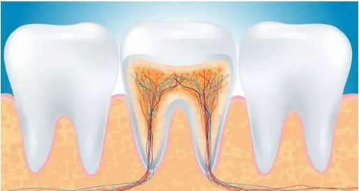 上火牙龈肿痛怎么办?多吃这4种食物 帮助你完全消除疼痛的感觉