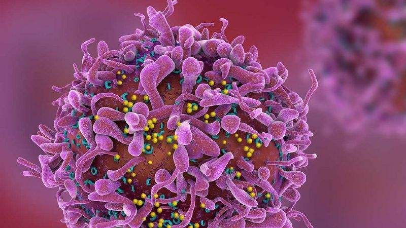 一个身患艾滋病大学生的自白:别走我的老路……