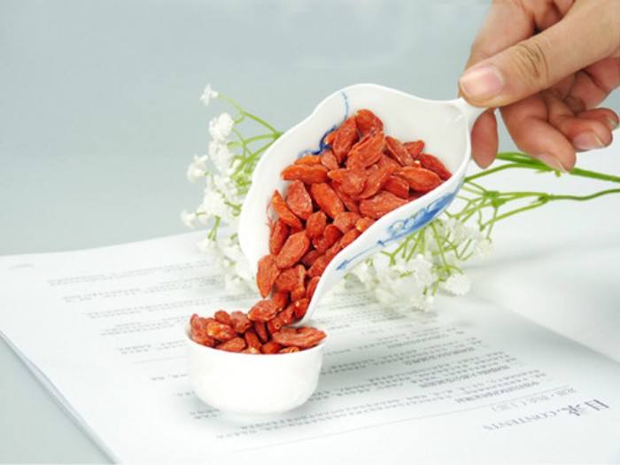 枸杞子泡水喝的害处和禁忌及功效有什么好处