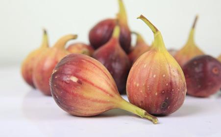 无花果根的功效与作用 无花果治痔疮偏方大 无花果的药用价值