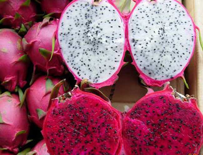 火龙果的功效与作用!抗衰老!