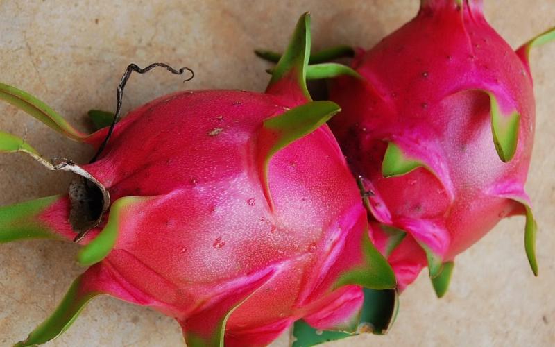 吃火龙果有什么好处 火龙果这样吃功效大！一起随着小编看看吧!