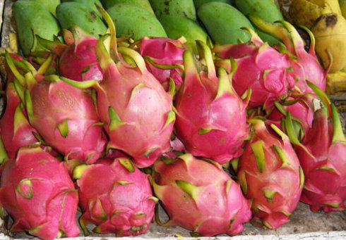 吃火龙果有什么好处？拉肚子者最好别吃哦