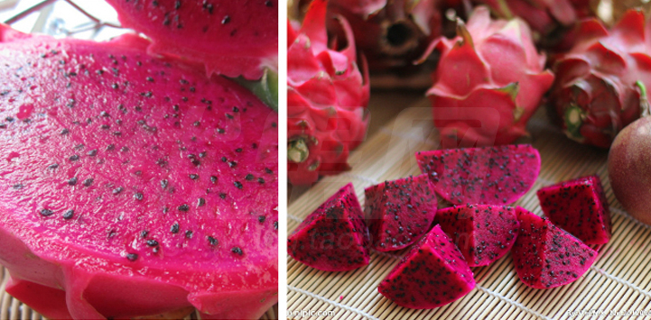 火龙果的功效与作用 夏季吃火龙果养出健康与美颜