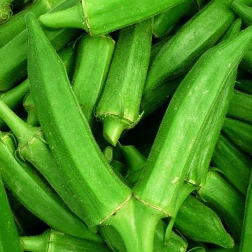 秋葵的图片大全，秋葵的功效与作用