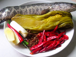 正宗酸菜鱼的做法