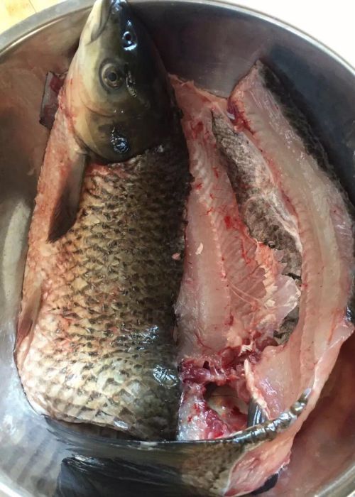 家常酸菜鱼的做法