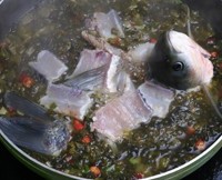 酸菜鱼