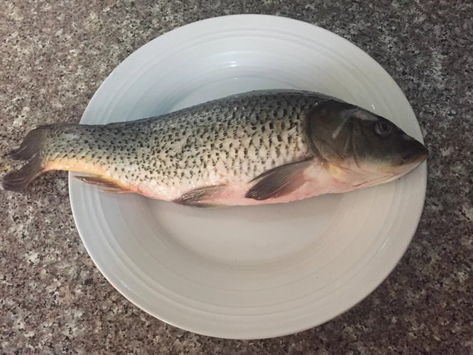 懒人酸菜鱼的做法