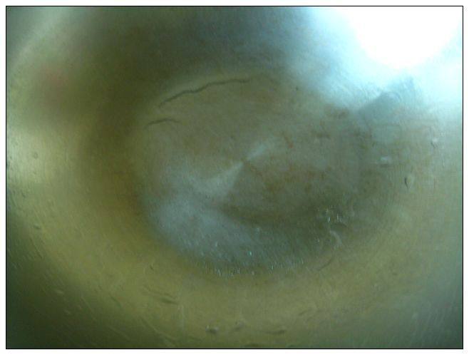 排毒减肥的南瓜饼