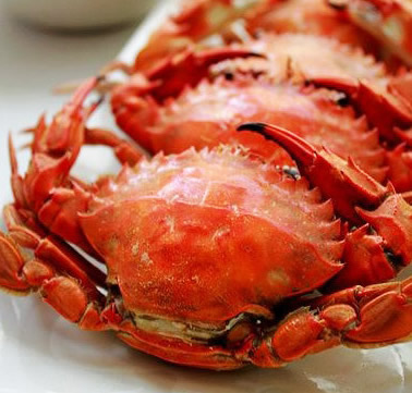 清蒸螃蟹