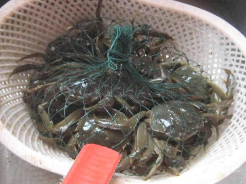 清蒸螃蟹