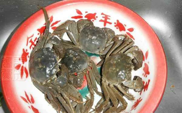 清蒸螃蟹