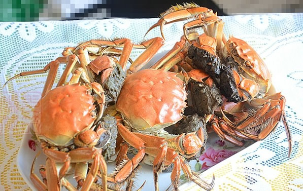 清蒸螃蟹