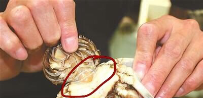 清蒸螃蟹（附挑螃蟹小窍门）