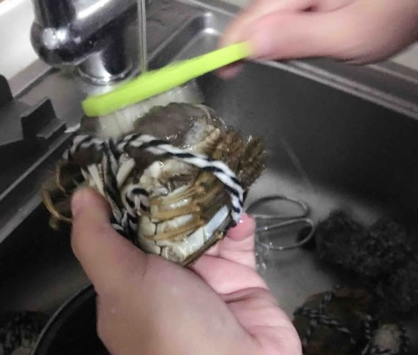 清蒸螃蟹（附挑螃蟹小窍门）