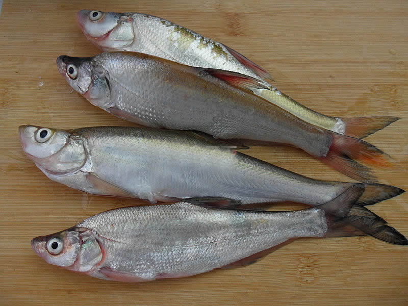 【美味】红烧鱼