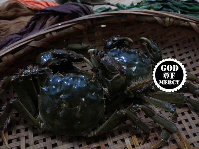 金秋美味清蒸螃蟹