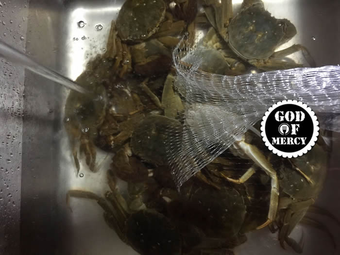 金秋美味清蒸螃蟹