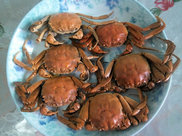 清蒸螃蟹（家常）