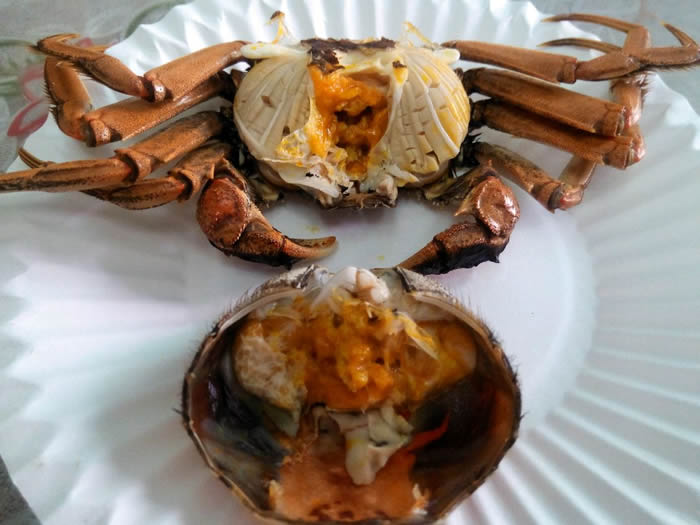 清蒸螃蟹（家常）