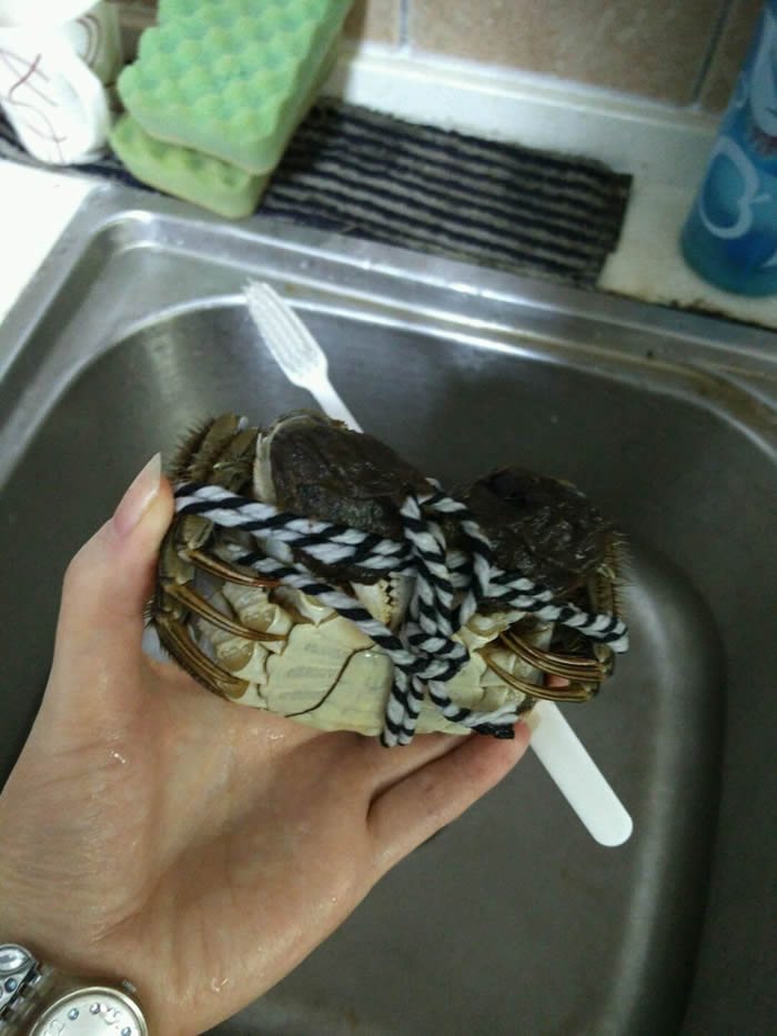 清蒸螃蟹的清洗