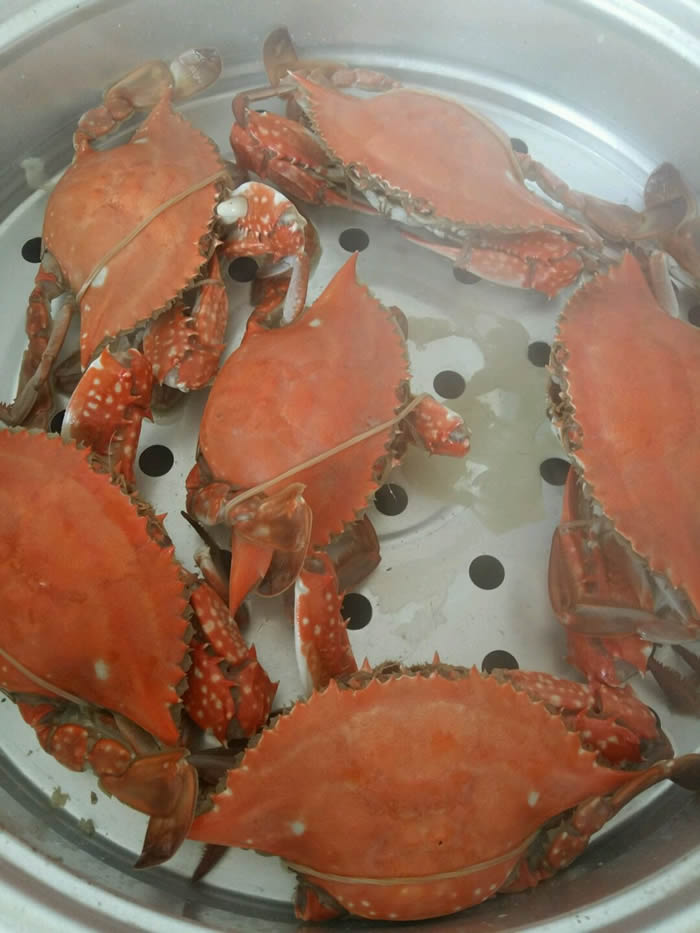清蒸螃蟹