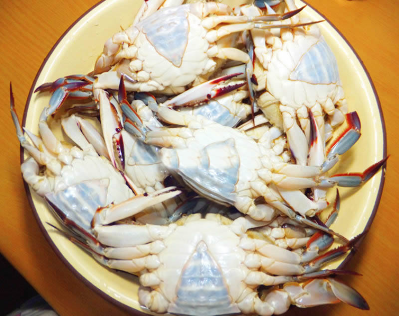 清蒸大螃蟹----教你怎样挑选梭子蟹