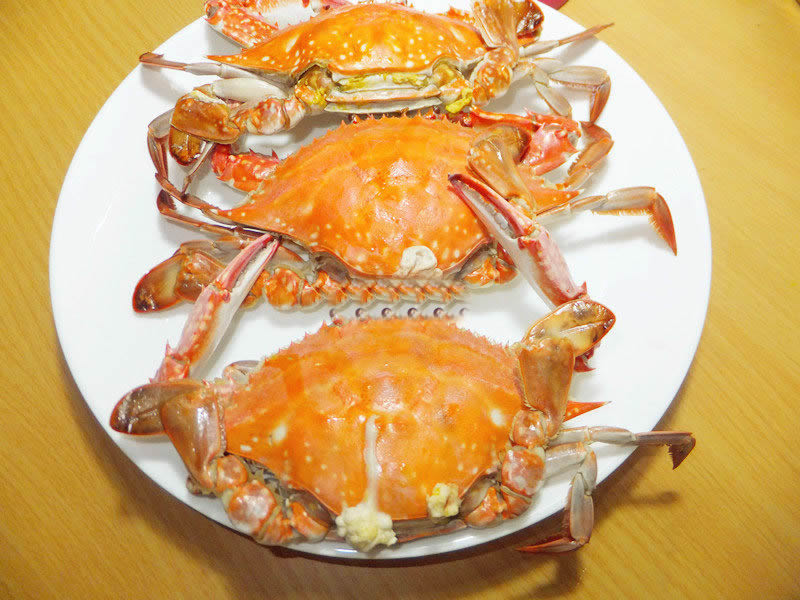 清蒸大螃蟹----教你怎样挑选梭子蟹