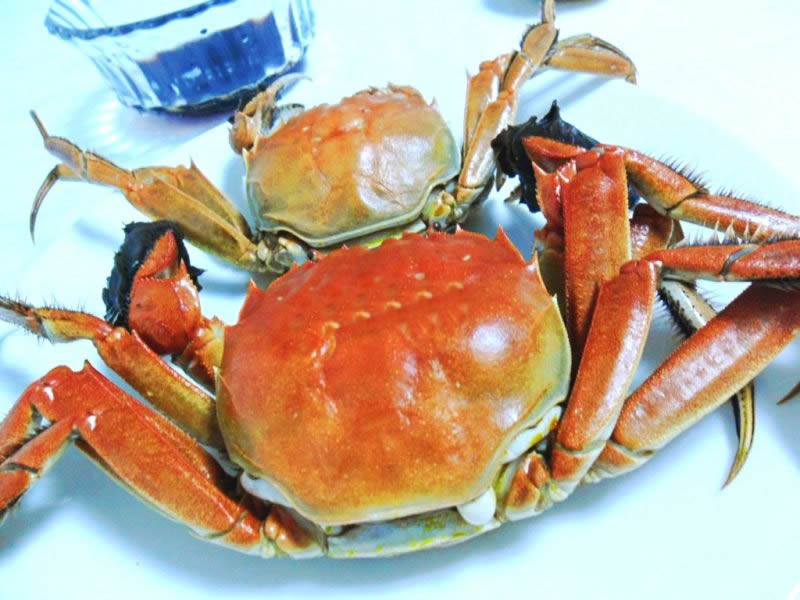 清蒸螃蟹