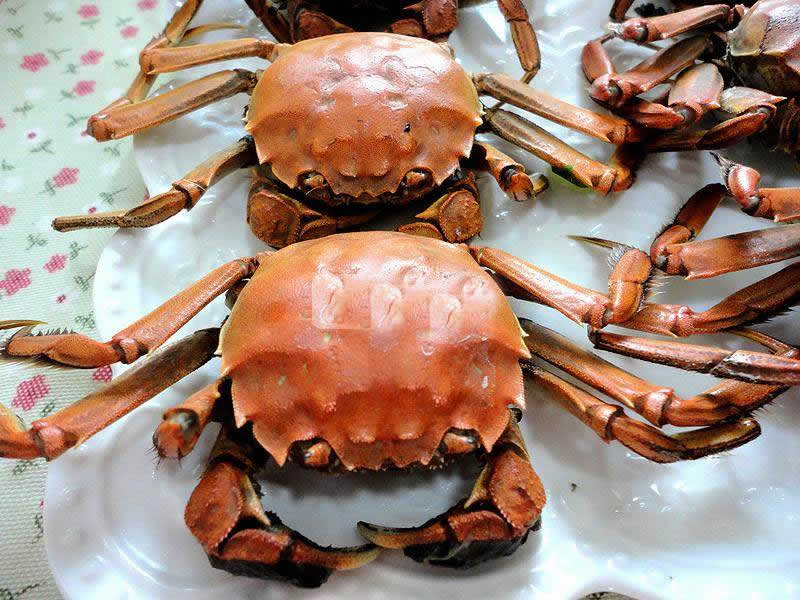 清蒸螃蟹
