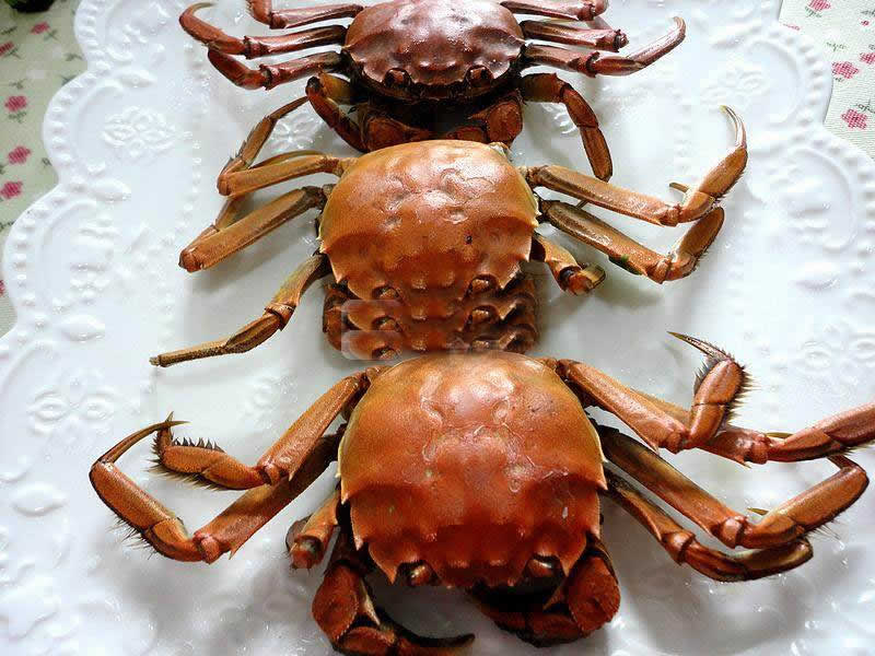 清蒸螃蟹