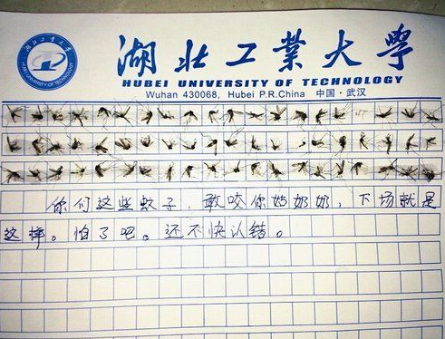 60只蚊子写作文 史上最奇葩作文 震惊网友